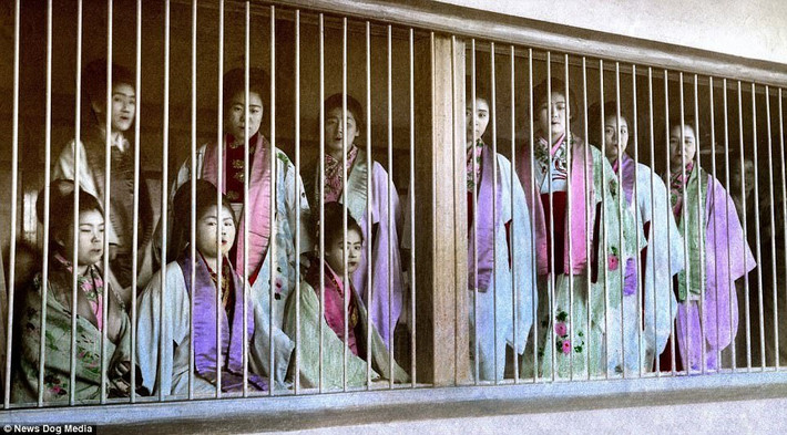 Yoshiwara - khu phố đèn đỏ sầm uất ở Nhật Bản mở cửa từ năm 1617. Do nằm ở trục đường giao thông quan trọng nên nơi đây luôn tấp nập người qua lại. Đến nửa sau thế kỷ 17, nơi được di chuyển ra khỏi thành phố tới gần Asakusa và được đổi tên thành Shin Yoshiwara (tức là Yoshiwara mới). Trải qua nhiều thập kỷ, từ Shin (mới) bị bỏ đi và chỉ còn lại chữ Yoshiwara.