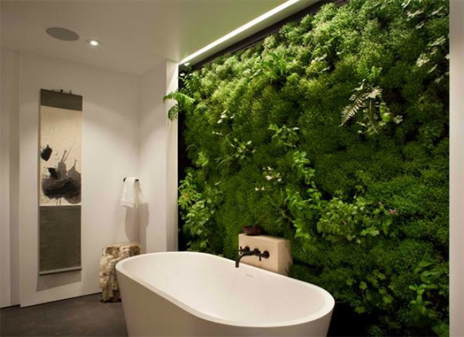 Những lớp cỏ được cắt tỉa công phu, lớp lang thể hiện sự đầu tư lớn của chủ nhà để bức tường thực sự là tác phẩm nghệ thuật từ thiên nhiên.