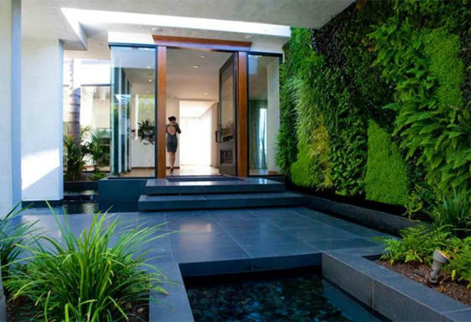 Mảng tường trồng nhiều loại cây xanh độc, lạ sẽ tạo điểm nhấn cho ngôi nhà.