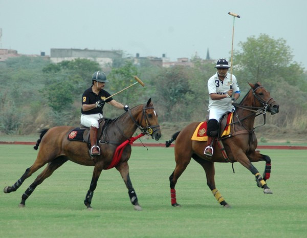 Quốc vương Brubei còn có sở thích đặc biệt với ngựa polo và đang sở hữu khoảng 200 con ngựa polo với chuồng nuôi hiện đại được trang bị cả hệ thống điều hòa.