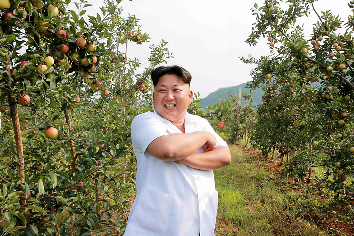 Ông Kim đến thăm một vườn hoa quả sai trĩu ở Taedonggang.