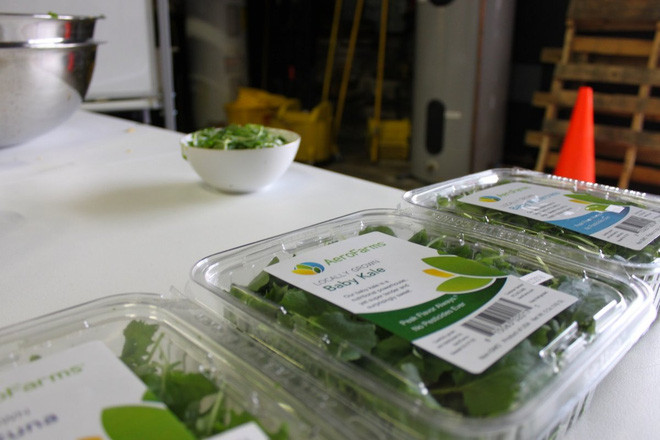 Hiện, AeroFarms cung cấp rau sạch quanh năm cho thành phố New York và New Jersey với mức giá rẻ ngang rau diếp hữu cơ.