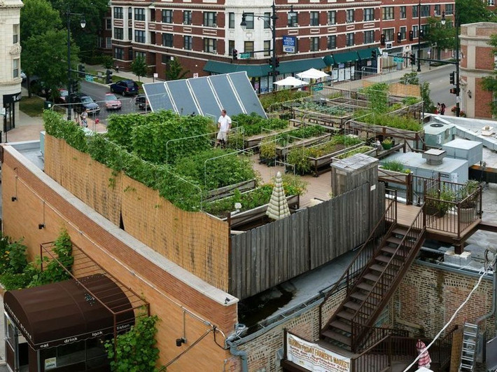 Vườn rau tầng thượng của nhà hàng Uncommon Ground (Chicago, Mỹ): Nhà hàng độc đáo nhờ một vườn rau nhỏ rộng 190m2 trên sân thượng.