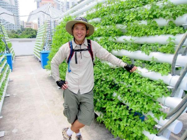 Nhờ công nghệ chăm sóc cây trồng hiện đại, trang trại này luôn cho năng suất cao.