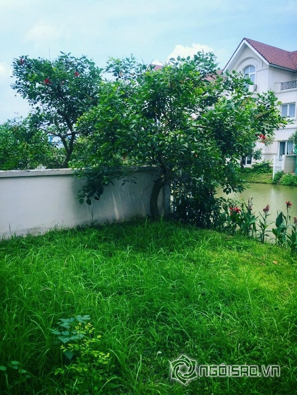 Khu vườn nhà Lã Thanh Huyền cần chăm sóc và trồng thêm nhiều cây hoa hơn.