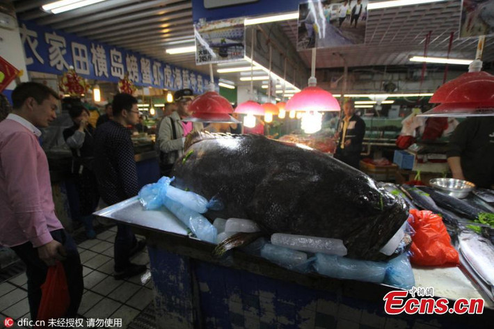 Con cá mú khổng lồ nặng hơn 150kg bày tại chợ.