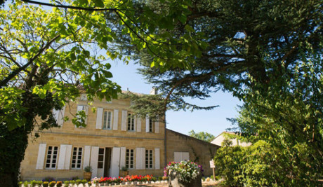 Được biết, Château Monlot hàng năm sản xuất khoảng 50.000 chai vang đỏ. Đây là một nhãn hiệu rượu vang chất lượng cao và có lịch sử đâu đời của vùng Bordeaux.