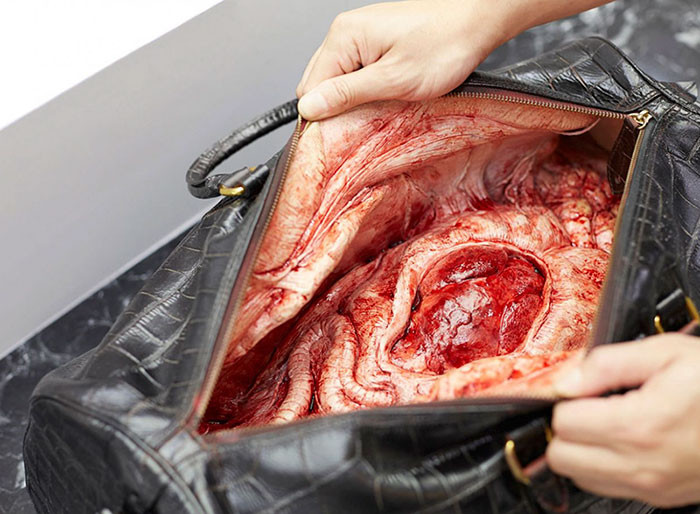 Những chiếc túi xách, ví, áo jacket, và thậm chí găng tay đã được lấp đầy với thịt động vật giả và máu.