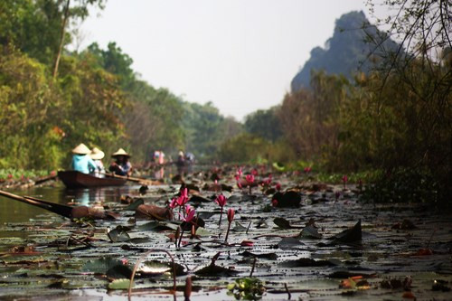 Tuy nhiên, trên dọc trục đường chính của suối Yến giờ không còn nhiều hoa súng như trước. Do đó nếu muốn chụp ảnh, du khách cần thỏa thuận trước để lái thuyền đưa đến những cung đường nhánh có nhiều hoa súng nở.