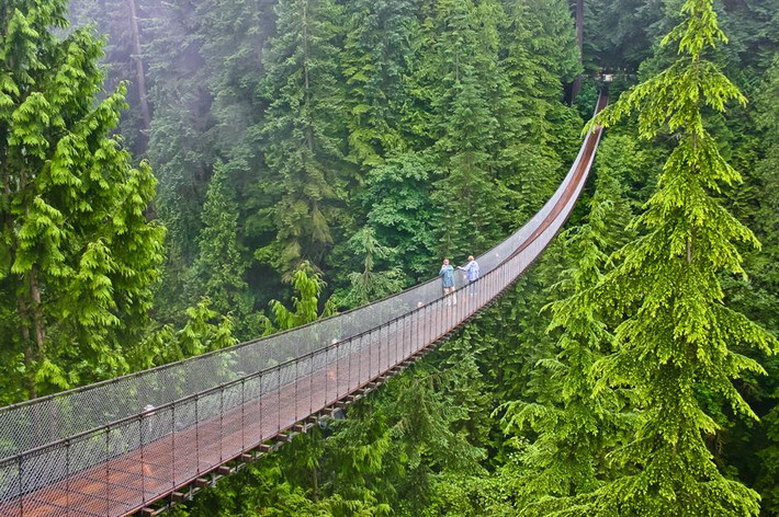 Cầu treo Capilano, Vancouver, Canada: Với độ cao 137m, cầu treo Capilano không phải là cây cầu treo dài nhất thế giới, nhưng nó gây ấn tượng khi nằm trong một khung cảnh rừng rậm hiểm trở.