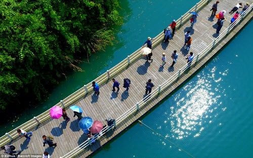 Hai bên dòng sông được phủ bởi màu xanh của cây cối và không có lối đi nên trước khi có con đường độc đáo này, du khách muốn thăm thung lũng sẽ phải di chuyển bằng thuyền.