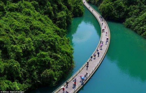 Con đường như một nét vẽ mềm mại giữa dòng sông, được ôm trọn bởi những cánh rừng nguyên sinh ở hai bên bờ.