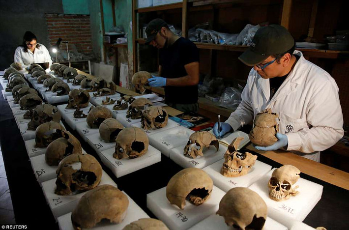 Về sau, người Aztec đục những lỗ lớn trên hộp sọ trước khi đặt chúng lên cây cột gỗ lớn.