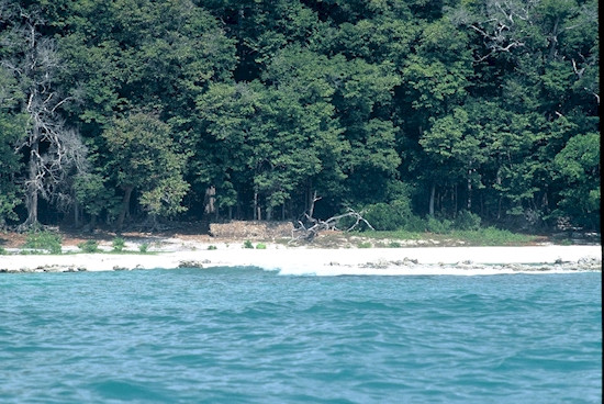 Đảo Bắc Sentinel thuộc quần đảo Andaman, Ấn Độ trở thành vùng đất cấm đối với du khách. Nguyên do là vì bộ lạc sống ở trên hòn đảo này không muốn có bất cứ liên hệ hay tiếp xúc nào với thế giới bên ngoài.