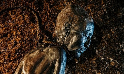 Suốt nhiều thế kỷ qua, một số xác ướp đầm lầy được tìm thấy ở một số nước như Ireland, Đan Mạch... Những xác ướp này gây chú ý khi còn gần như nguyên vẹn sau hàng trăm năm.