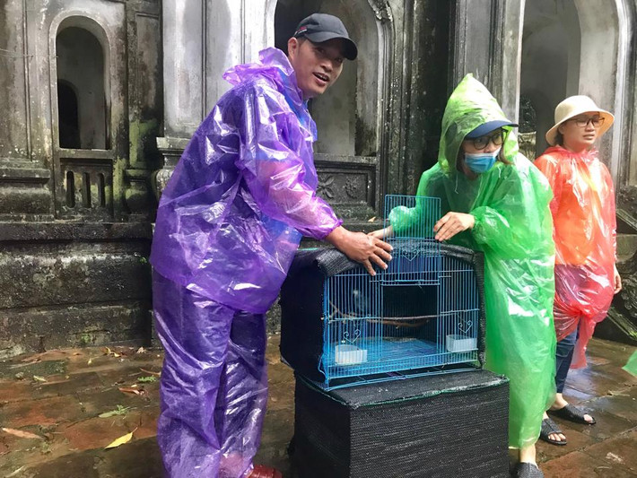 Toàn bộ các cá thể động vật hoang dã này đều là tang vật do lực lượng công an thu giữ từ các đối tượng buôn bán động vật hoang dã trái phép. Ảnh: Kinhtedothi.
