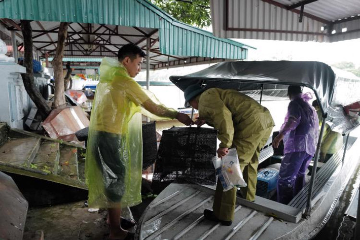 169 cá thể động vật hoang dã, gồm 5 loài: Rắn hổ chúa, mèo rừng, khướu bạc má, chim di đá và sáo đá được Trung tâm Cứu hộ động vật hoang dã Hà Nội tổ chức tái thả về môi trường tự nhiên tại rừng đặc dụng Hương Sơn, huyện Mỹ Đức. Ảnh: Kinhtedothi.