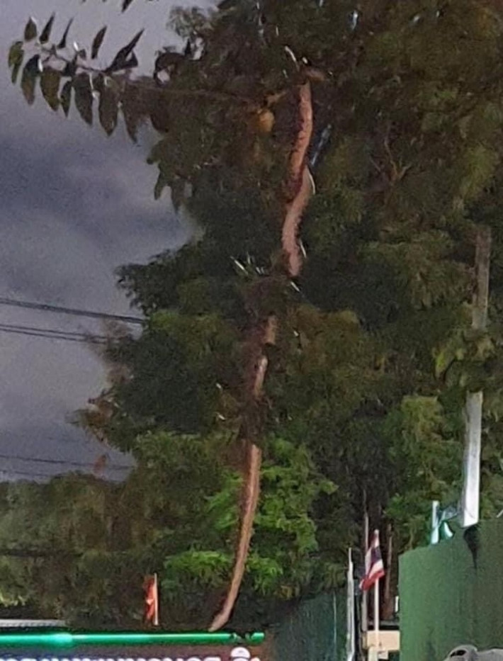 Người này đăng bức ảnh chụp tại tòa nhà đối diện Tòa thị chính Bangkok kèm chú thích: “Hãy cẩn thận. Có ai đi xe máy qua khu này không? Có một con rắn rất lớn đang vắt vẻo gây kinh hãi”.