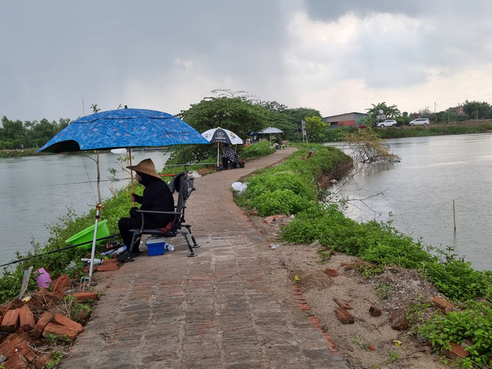 Vào khoảng 14h ngày 31/8, đoàn kiểm tra liên ngành của Thành phố qua kiểm tra đã phát hiện tại Hồ câu 87 ở Bến Hàn, phường Bình Hàn do ông Dương làm chủ đã tổ chức cho 22 khách hàng câu cá có thu tiền.