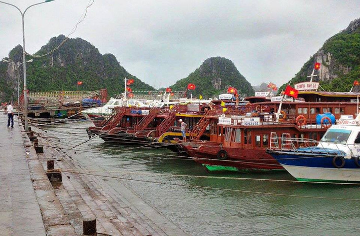Khu vực Cảng Cái Rồng, huyện Vân Đồn mưa lớn đã xuất hiện, nhiều tàu thuyền đã vào cảng trú bão an toàn.