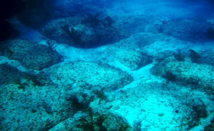 Ngày 2/9/1968, Bimini Road được J. Manson Valentine, Jacques Mayol và Robert Angove phát hiện ở ngoài khơi bờ biển Bahamas. Cấu trúc này do con người tạo ra có niên đại từ 12.000 - 19.000 năm tuổi.