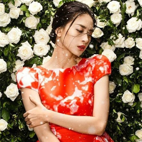 Ít ai còn nhớ Ngô Thanh Vân từng là hoa hậu, sau khi giành ngôi Á hậu 2 trong cuộc thi Hoa hậu Việt Nam qua ảnh năm 1999. Bởi lẽ người đẹp rất đa tài và hầu như từng tham gia mọi lĩnh vực của showbiz. Trong gần 20 năm hoạt động của mình, Ngô Thanh Vân từng thử sức với nhiều vai trò như ca sĩ, diễn viên, người mẫu, vũ công… Ở vai trò nào cô cũng đều để lại dấu ấn nhất định song nghiệp diễn xuất là nổi bật nhất. Ngô Thanh Vân được mệnh danh “đả nữ” của làng điện ảnh nhờ những vai hành động ấn tượng của mình.