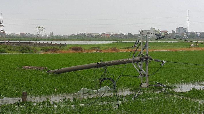 Nhiều cột điện tại Thái Bình bị gió đánh đổ gãy.