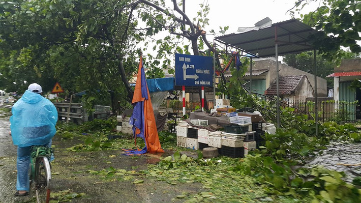 Vào khoảng 21h ngày 27/7, tâm bão số 1 đã đổ bộ lên đất liền các tỉnh Nam Định, Ninh Bình, Thái Bình với sức gió mạnh nhất đạt cấp 9 (từ 75 - 90 km/giờ), giật cấp 11. Sau đó bão đi sâu vào đất liền, bão số 1 đã nhanh chóng suy giảm thành áp thấp nhiệt đới. Tuy nhiên do bị ảnh hưởng trực tiếp, các địa phương trên bị thiệt hại nặng nề do bão.