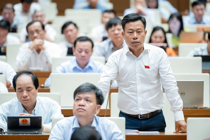 “Cần làm rõ thời điểm có thể quy định cấm hoặc hạn chế, đánh thuế phí cao đối với việc sử dụng rác thải nhựa, đặc biệt là trong các sinh hoạt, tiêu dùng”, Đại biểu Lê Quân (Hà Nội) nêu ý kiến khi chất vấn.