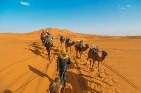 Không những vậy, thiên nhiên tuyệt đẹp của Morocco được nhiều đạo diễn, nhà làm phim lựa chọn làm bối cảnh quay những bộ phim nổi tiếng thế giới. Theo ước tính, mỗi năm có hàng trăm dự án phim được quay ở Morocco.