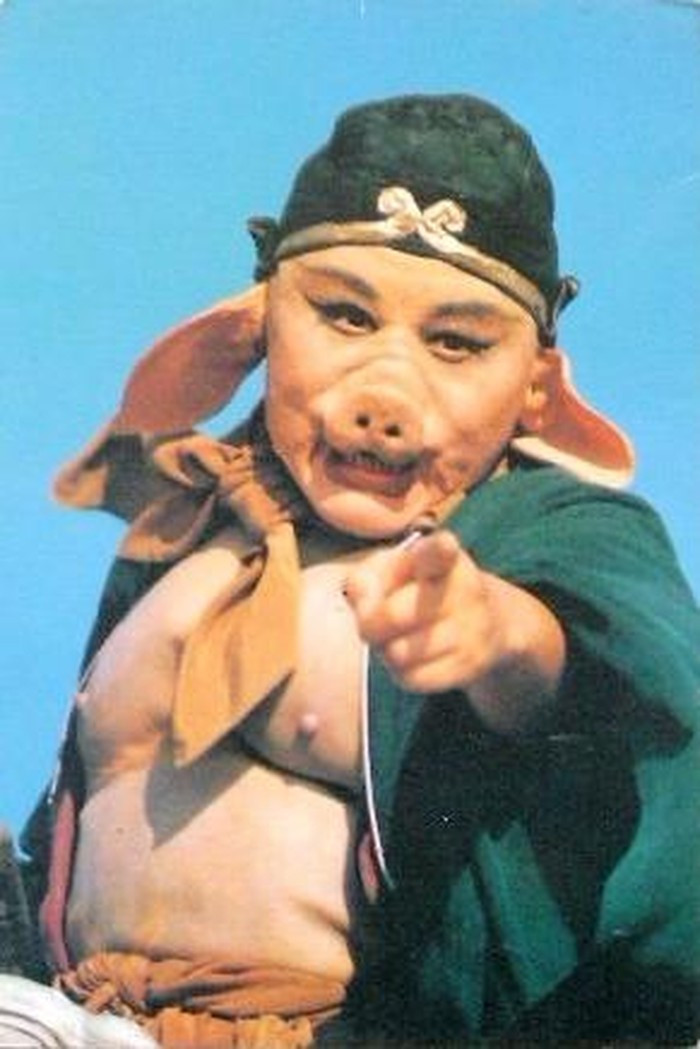 Điều này khiến một số người hoài nghi cho rằng, việc làm khiếm nhã trên của Trư Bát Giới có phải xuất phát từ bản tính háo sắc. Tuy nhiên, điều này không chính xác.