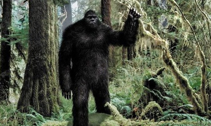 Đến năm 1955, quái vật Bigfoot lộ diện đã nhận được sự quan tâm lớn của công chúng. Khi ấy, một nhân chứng tên William Roe kể rằng đã nhìn thấy sinh vật giống linh trưởng khổng lồ trên núi Mica ở British Columbia.