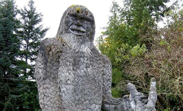 Sau khi xem video, nhiều người cho rằng đó chính là quái vật Bigfoot mà mọi người đang tìm kiếm. Sinh vật huyền bí này thoắt ẩn thoắt hiện và không sống cố định ở khu vực nào. Do vậy, việc tìm kiếm Bigfoot gặp nhiều khó khăn