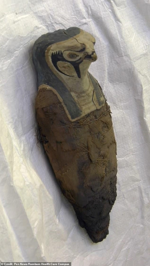 Theo các chuyên gia, "xác ướp ngũ cốc" có thể được chôn cất trong mộ của pharaoh Ai Cập như một món quà mà họ dành tặng thần linh.