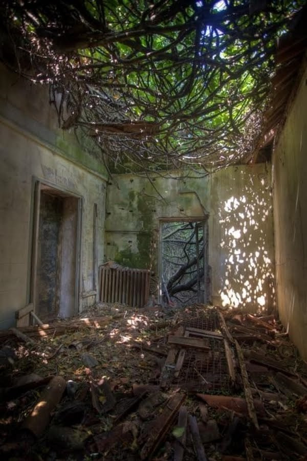 Đến năm 1969, những người cuối cùng rời đảo Poveglia. Kể từ đó cho đến nay, không ai dám ở hòn đảo "bị nguyền rủa" này vì quá khứ chết chóc cũng như bị "ma ám".