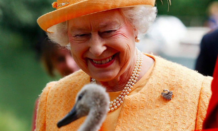 Nữ hoàng Elizabeth II là người đứng đầu Hoàng gia Anh kể từ khi lên ngôi vào năm 1952.