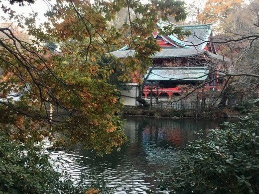 Công viên Nhật Bản có tên Inokashira nằm ở thủ đô Tokyo trở thành địa điểm nổi tiếng thu hút nhiều người ghé thăm, vui chơi.