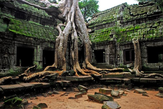 Nằm giữa khu rừng rậm, đền Ta Prohm, thuộc quần thể Angkor Wat, Campuchia trông thật huyền bí và cổ quái. Ngôi đền thu hút nhiều du khách và từng là bối cảnh trong bộ phim bom tấn “Kẻ cướp lăng mộ”.