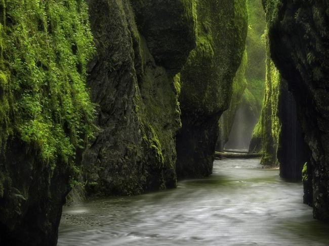 Bạn sẽ lạc vào chốn thần tiên khi đến dòng suối Oneonta Gorge, sông Gorge, bang Oregon, Columbia. Dòng suối như dải lụa trắng nằm len mình trong những phiến đá hùng vĩ phủ đầy rêu xanh.