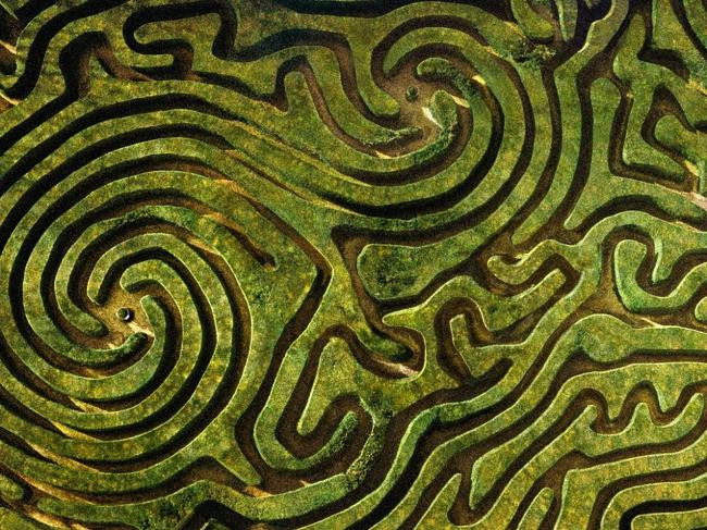 Mê cung Longleat, Wiltshire, nước Anh có hệ thống mê cung 3D phức tạp khiến bạn khó lòng tìm được đường ra một khi đã đặt chân vào. Mê cung có diện tích 0,6ha, được tạo thành từ 16.000 cây thông và mỗi hàng rào cây dài 1,8–5,4km.