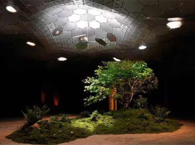 Đèn Lowline Lab. Mục đích của phát minh này là mang lại sức sống mới cho không gian ngầm bị lãng quên. Sử dụng công nghệ này, nó sẽ hấp thụ ánh sáng Mặt trời trên mái nhà và thông qua một mái vòm phản xạ, đem ánh sáng xuống lòng đất, cho phép cây xanh quang hợp như thường giống như được trồng trên mặt đất.