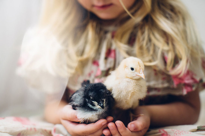 Khi mà mình có thể giao tiếp và làm bạn với nhiều loài động vật khác nhau.