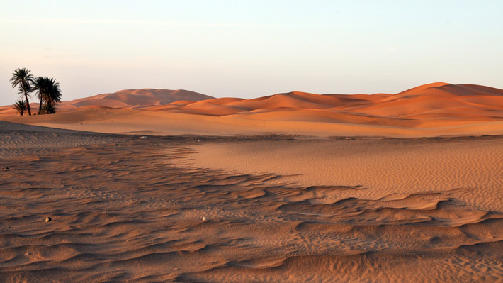Phần lớn sa mạc Sahara là những dãy núi đá khô cằn, thiếu sự sống. Tuy nhiên, con người từng sống ở sa mạc Sahara vào hàng ngàn năm trước đây, vào quãng thời gian cuối cùng của kỷ băng hà. Khi ấy, Sahara là một vùng đất ẩm ướt và là nơi sinh sống của hơn 30.000 loài động vật.