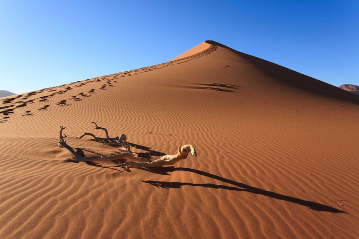 Trái ngược với sa mạc Nam Cực, sa mạc Sahara có diện tích 9,2 triệu km2, bao phủ gần như toàn bộ diện tích Bắc Phi và là sa mạc nóng lớn nhất thế giới. Không những vậy, Sahara còn là sa mạc lớn nhất châu Phi.