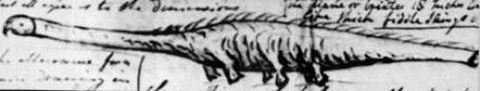 Thủy quái Stronsay được phát hiện vào tháng 9/1808. Nó dạt vào bờ biển trên đảo Stronsay thuộc quần đảo Orkney. Sinh vật khổng lồ dài khoảng 17m, đuôi và cổ rất mảnh và dài, phần thân rộng với 3 cặp chân ngắn. Nó có bờm bao gồm những chiếc lông cứng và nhọn phủ từ cổ cho tới phần lưng dưới. Một quan điểm cho rằng đây là xác của loài con cá mập khổng lồ. Tuy nhiên, điều này vẫn chưa được các chuyên gia xác thực.