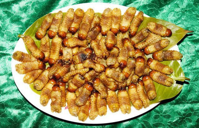 Nhìn bề ngoài, sùng đất dễ khiến ta có cảm giác rùng mình. Nhưng khi thưởng thức hương vị của nó, nhiều người mới gật gù mà tấm tắc khen ngon. Có vô vàn món ngon được chế biến từ sùng đất như luộc, rang hay băm nhỏ đúc bánh xèo...Ảnh: Internet.