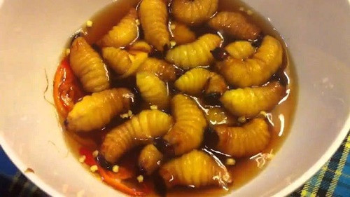 Đuông dừa có thể chế biến thành nhiều món ăn khác nhau như nấu cháo, chiên xù, ngâm mắm… Món ăn có thể thách thức sự can đảm của thực khách nhất là món đuông dừa ngâm mắm.