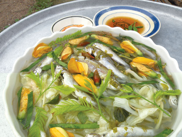 Canh chua cá linh: Món ăn thường thấy trong những bữa cơm gia đình ở miền Tây khi mùa nước lớn chính là canh chua cá linh. Kiểu chế biến quen thuộc nhưng lúc nào cũng được đón nhận nhiệt tình.