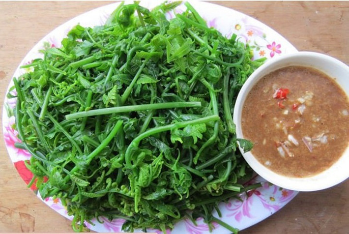 Cách chế biến rau dớn khá đơn giản, bạn có thể chế biến rau dớn thành món nộm rau dớn gà áp chảo hoặc rau dớn xào mẻ, thịt bò.