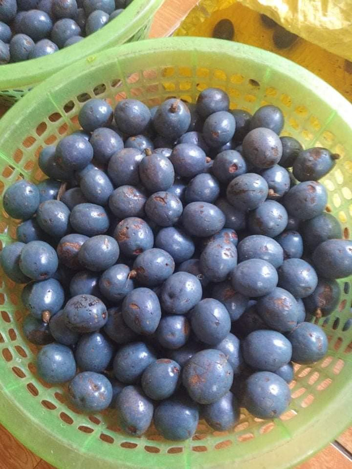 Người ăn quả cọ sành là người biết chọn cho mình những quả cọ tròn, cùi dầy có màu vàng như mật ong, khi nhấm nháp còn thấy dẻo, dính ở răng thì đó chính là loài cọ nếp quý. Quả cọ được chế biến thành nhiều món ăn lạ miệng.